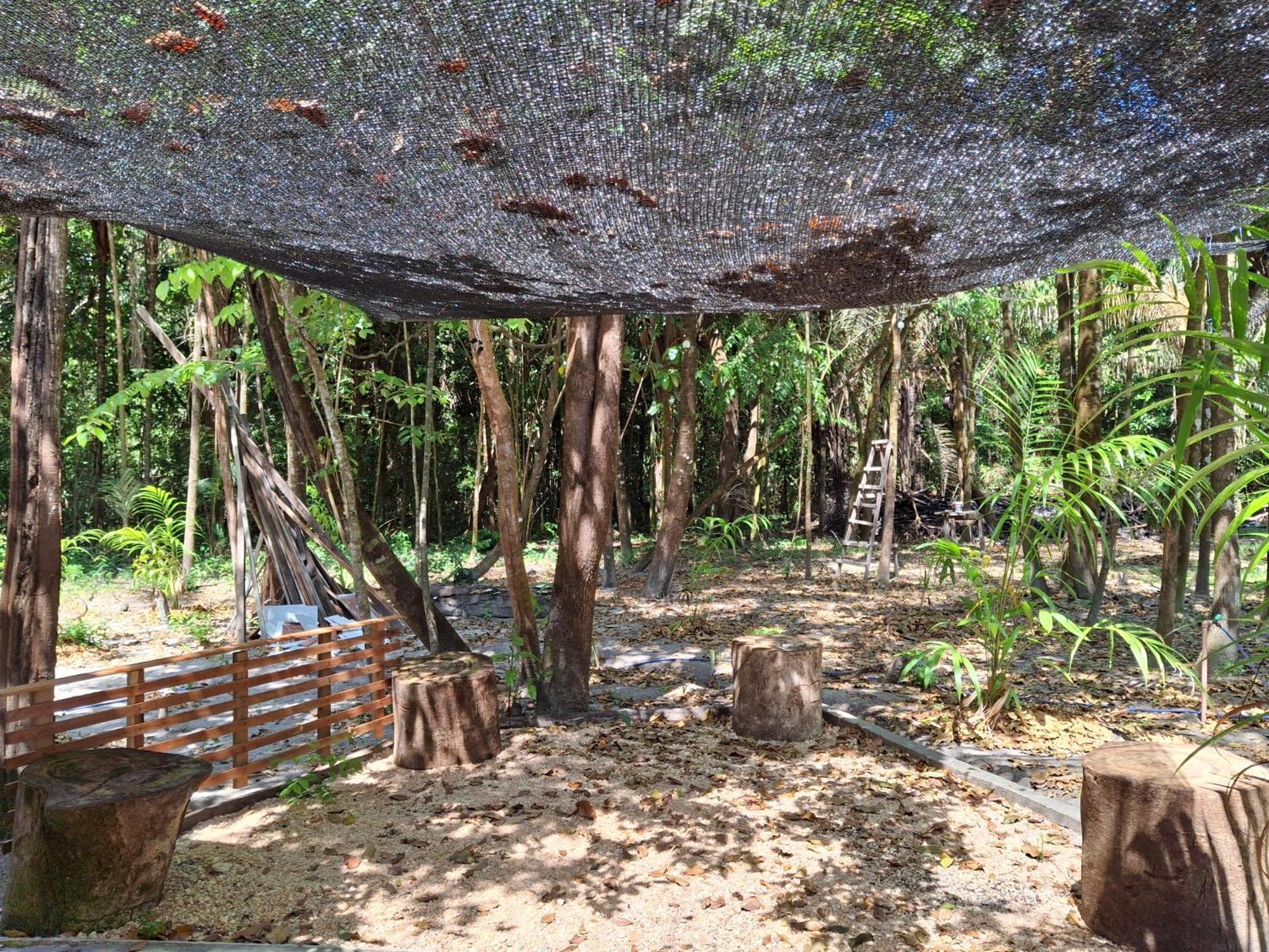 萨尔瓦特拉Casa Da Mata Marajo别墅 外观 照片